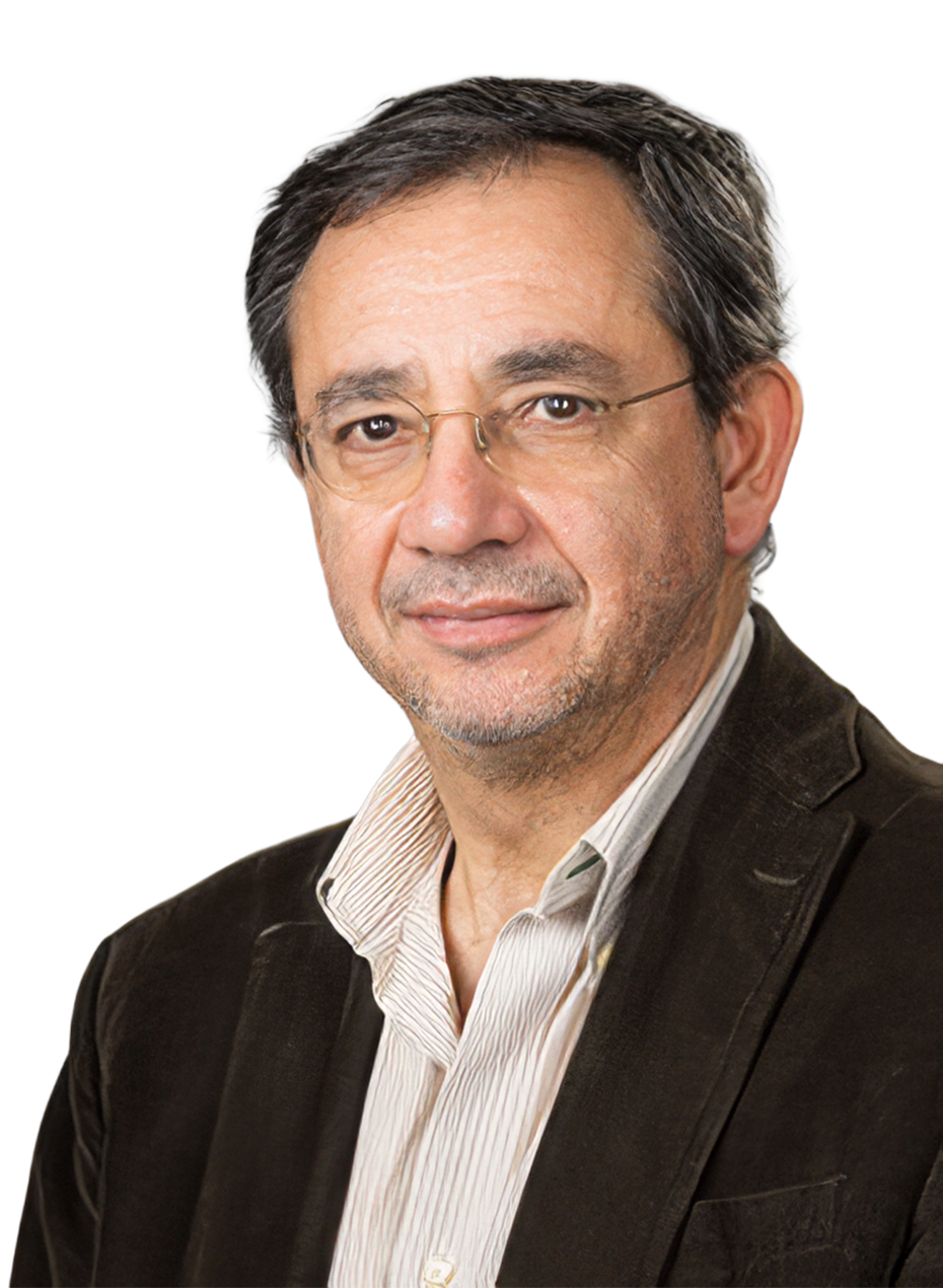 Assoc. Prof. Sergio Biggemann